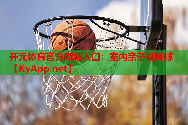 开元体育官方网站入口：室内亲子健身球